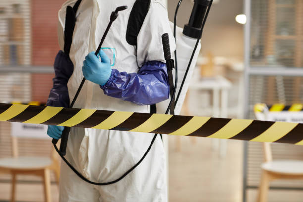 Professional Sewage Cleanup technician working in Lafayette, CA